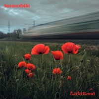 LalaBand - Immobile