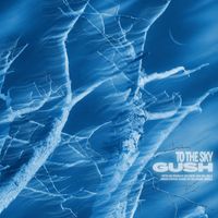 GUSH - To The Sky