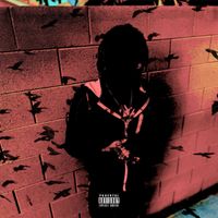 Spo - Birds (Explicit)