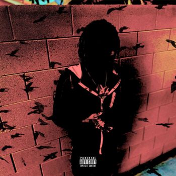 Spo - Birds (Explicit)