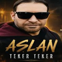 Aslan - Teker Teker