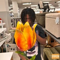 SPK - GO PRO (Freestyle) (Explicit)