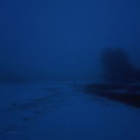 sadtones - withered