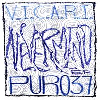 V.I.C.A.R.I. - Nevermind