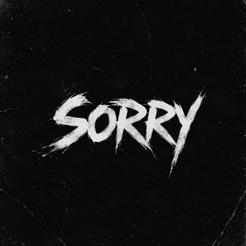 Plug - Sorry (Explicit)