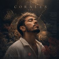 KEV - Corales