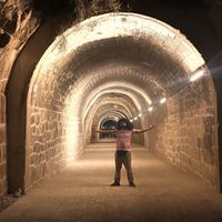 Professor Thurgau - Tunnelblick