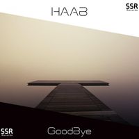 HAAB - Goodbye