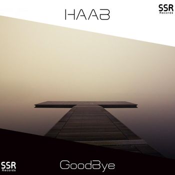 HAAB - Goodbye