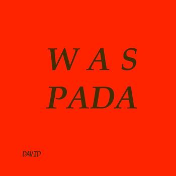 David - Waspada