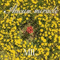 MIL - Aucun miracle