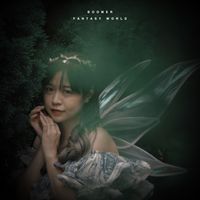 Boomer - Fantasy World