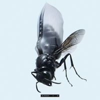 Mironoga - J&L Reissue '25