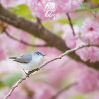 Folk Tales - Birds