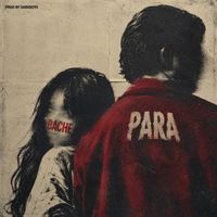 PARA - Bache