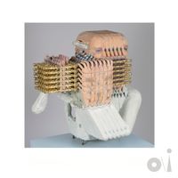 Peter Gabriel - One by One (Bright-Side Mix)