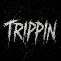 Plug - Trippin (Explicit)