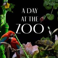 Felix Thoma - A Day at the Zoo