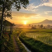 robert - Si tinjak geleng