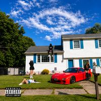 Daryell Royce - Aesthetic Feelings (Explicit)
