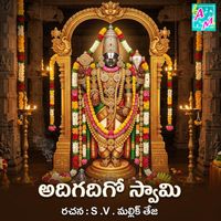 Vadlakonda Anil Kumar - Adigadhigo Swamy