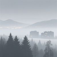 Black Roses - Winter Haze