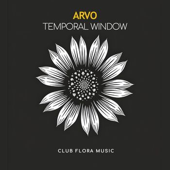 Arvo - Temporal Window