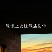 白兰滴 - 我恨上天让我遇见你