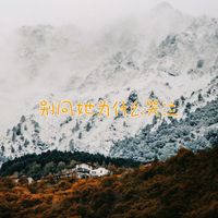 白兰滴 - 别问她为什么哭泣