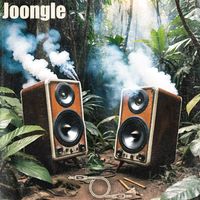 Auxlee - Joongle