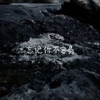 白兰滴 - 忘记你不容易