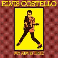 Elvis Costello - Watching The Detectives