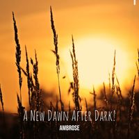 Ambrose - A New Dawn After Dark!