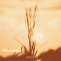 Veyra - Polaroid