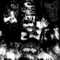 Krysalor - BERG