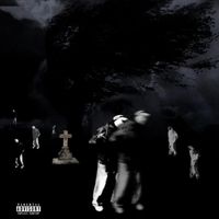 PHOENIX - PAINPROFIT (Explicit)