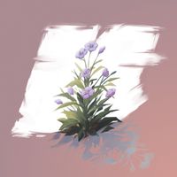 Violet - Mikansei
