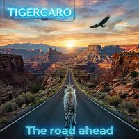 TIGERCARO - The road ahead
