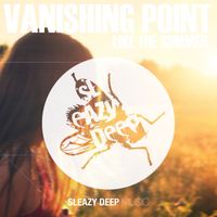 Vanishing Point - Like the Summer