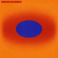 Dusky - Bindweed