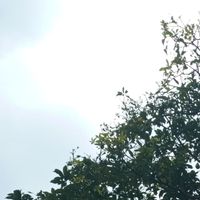 Kilor - sebelum kau pergi