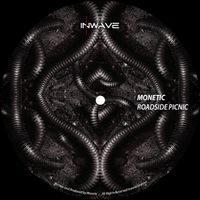 Monetic - Roadside Picnic