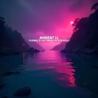 Ambient 11 - Pilgrimage of Light Through the Retro Nebula