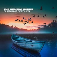 Burnham Beeches - The Healing Hours
