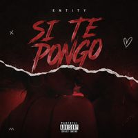 ENTITY - SI TE PONGO