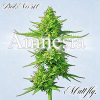 Matt - Amnesia (Explicit)