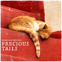 Burnham Beeches - Precious Tails