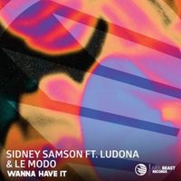 Sidney Samson - Wanna Have It