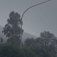 Andy - Storm Front